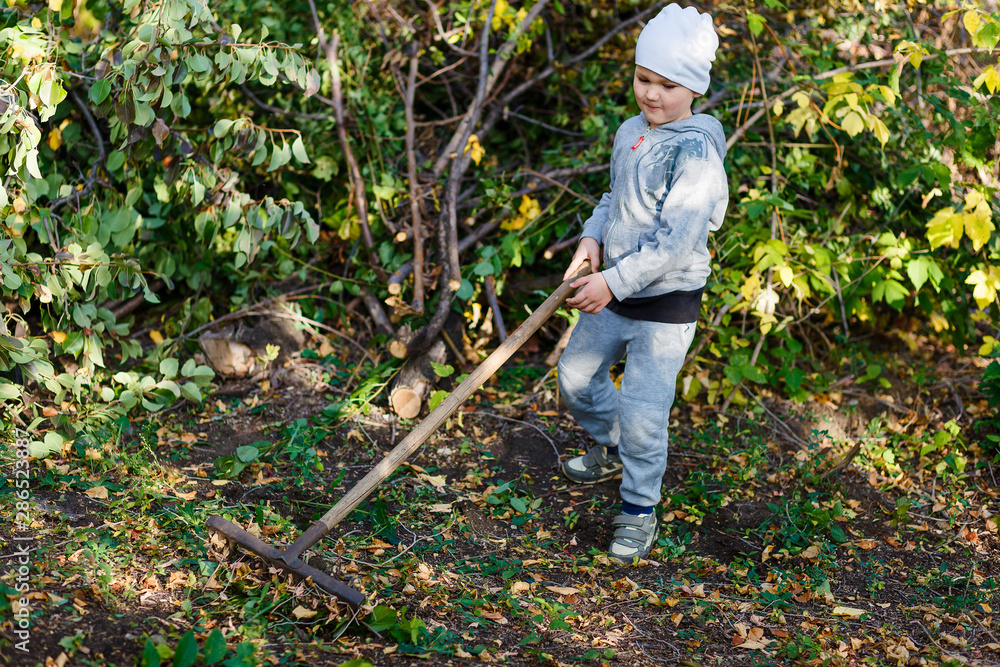 six-year-old boy works rake in the garden six-year-old boy works rake in the garden
