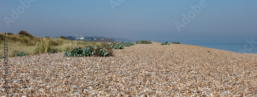 The Beach in Summer at Dunwich photo