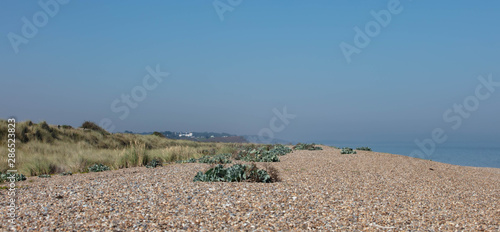 The Beach in Summer at Dunwich photo