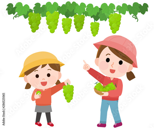 マスカット狩りする親子 イラスト Stock Vector Adobe Stock マスカット狩りする親子 イラスト Stock Vector Adobe Stock