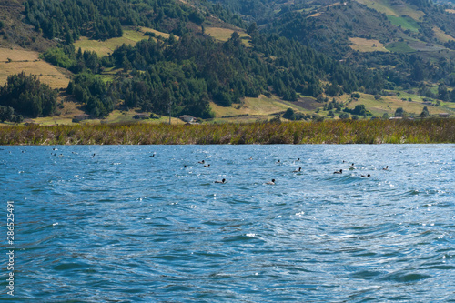 Lake Tota. The largest lake in Colombia, located in the east of Boyacá department, inside the Sogamoso Province photo