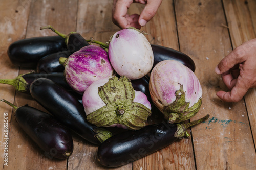 Farmer hands take several eggplants on wooden boards photo