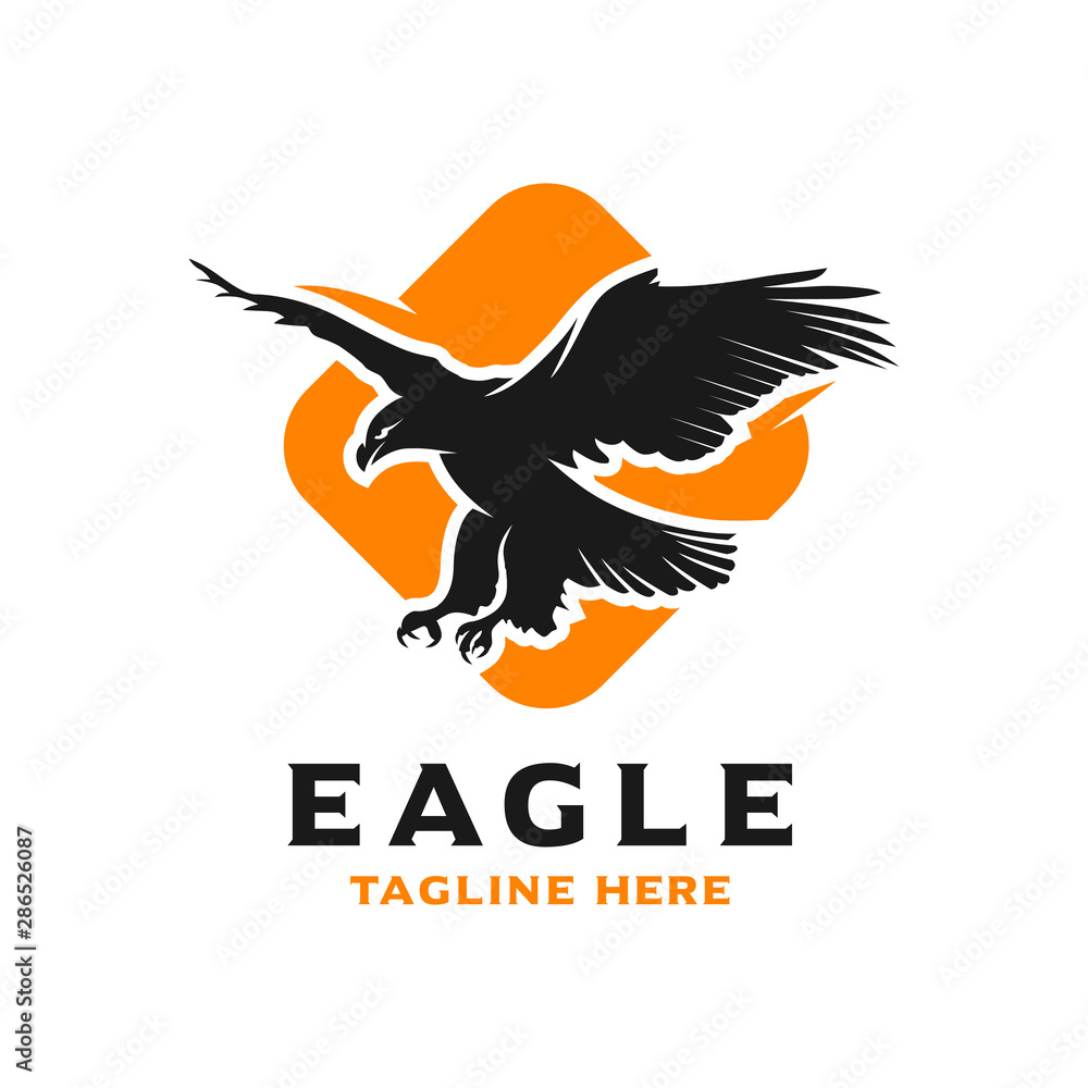 Fototapeta premium Bird logo and box design template