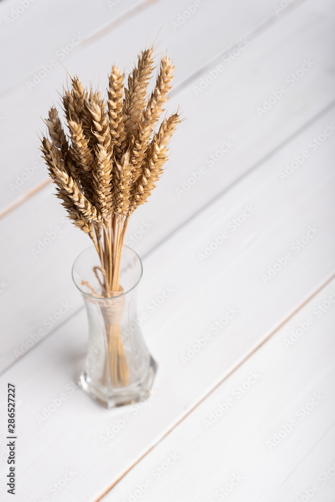 Plakat ears of wheat in a small glass vase on a white background