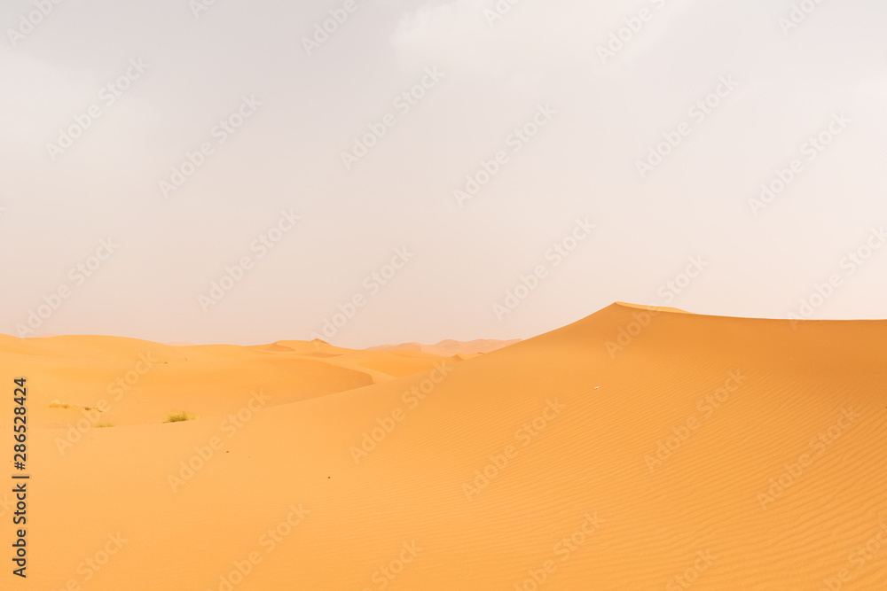 Merzouga - Sahara desert