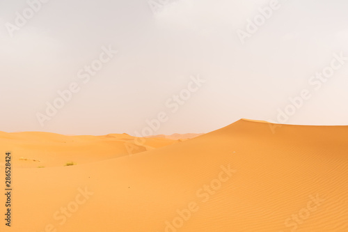 Merzouga - Sahara desert © Ana