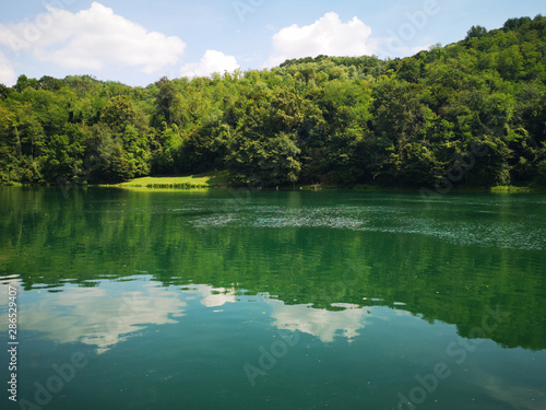 green plants with reflections on the waters of adda river in italy 