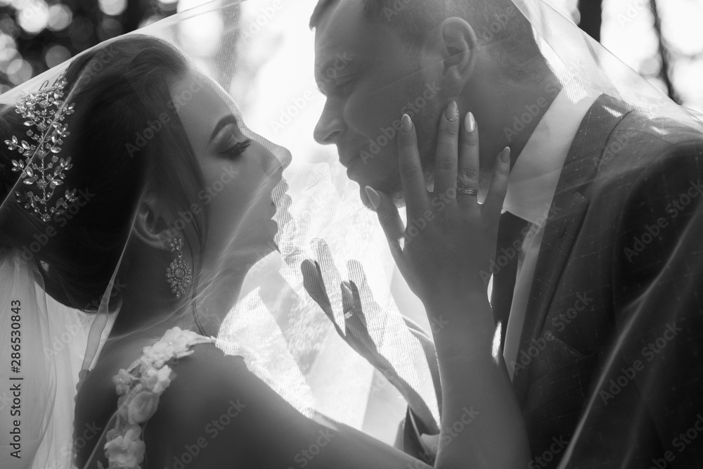 Wedding couple kisses under the veil. The Kiss. Close up portrait of