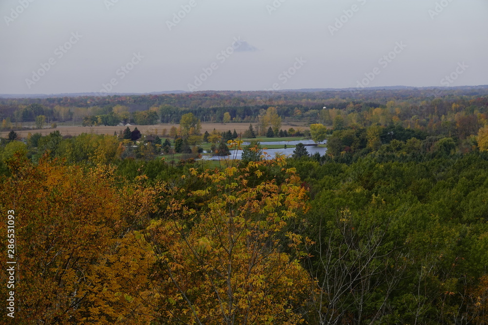 Obraz premium Beautiful Captivating Autumn Forest Scenery 