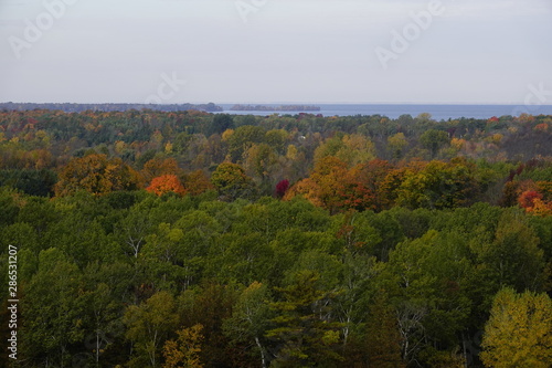 Fototapeta Naklejka Na Ścianę i Meble -  Beautiful Captivating  Autumn Forest Scenery 