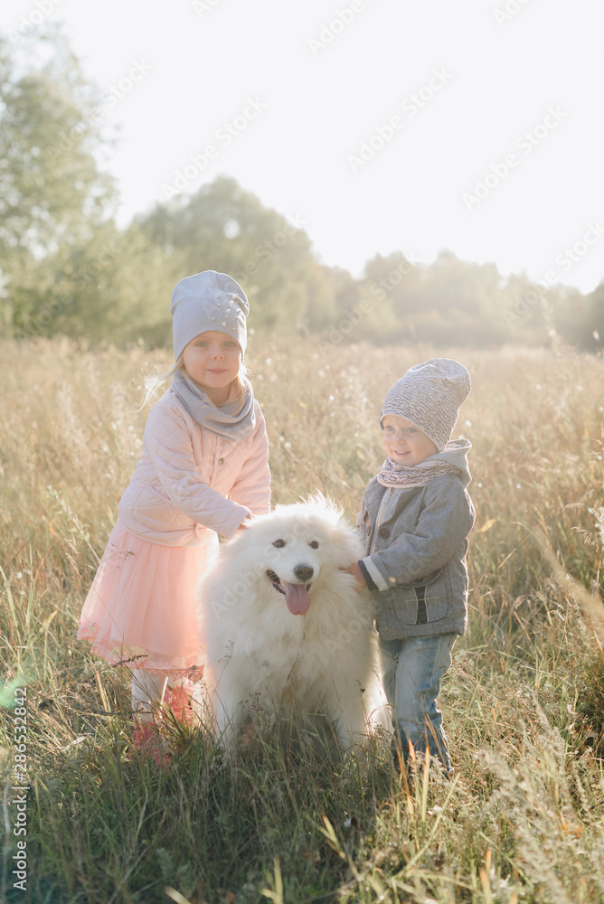 little girl and boy in autumn on nature with a dog little girl and boy in autumn on nature with a dog
