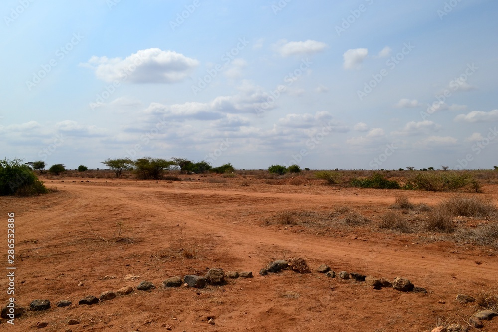 Fototapeta premium Desert landscape of the Kenyan Savannah
