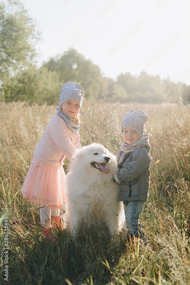 little girl and boy in autumn on nature with a dog little girl and boy in autumn on nature with a dog