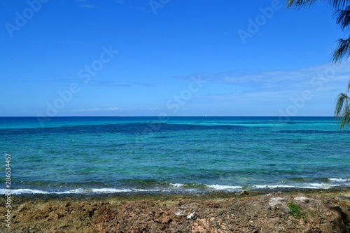 beach and sea