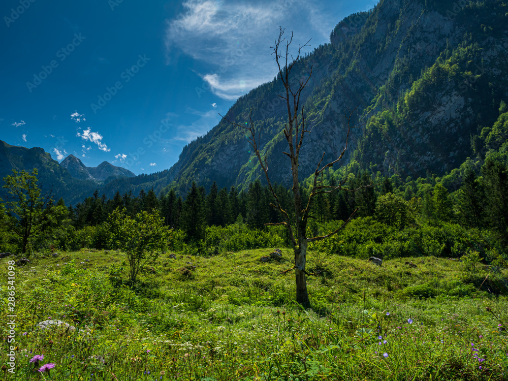 The great nature between the Königssee and the Obersee lakes with a real inspiring silence
