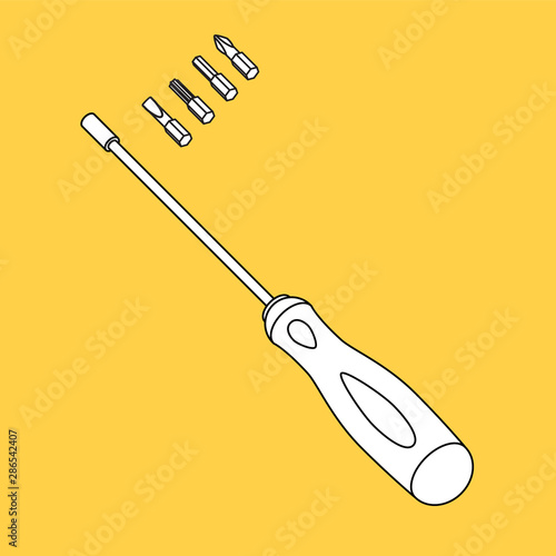 screwdriver with set of bits