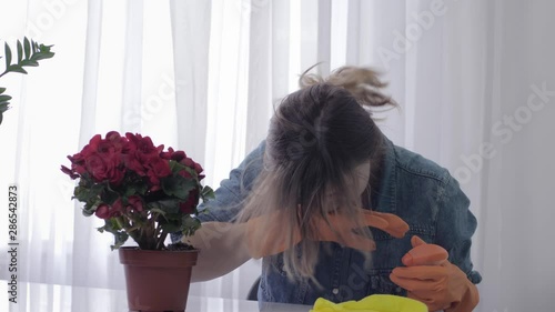 sneezing woman, young female in gloves with a washing spray suffers from allergies during cleanse at home photo