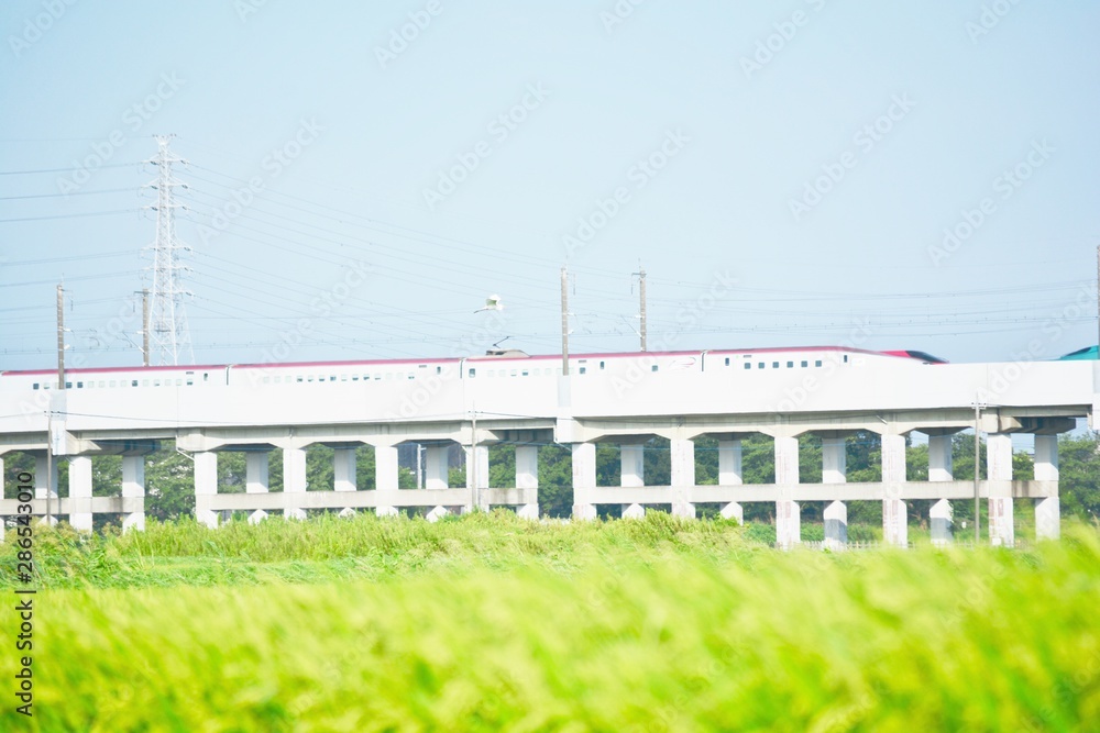 Fototapeta premium 田園