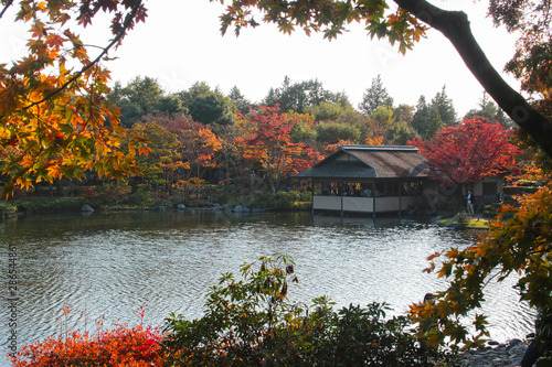 Autumn in Japan