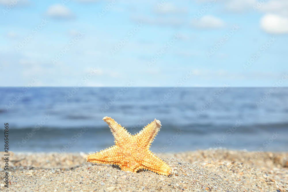 Beautiful starfish on sand near sea, space for text. Beach object Beautiful starfish on sand near sea, space for text. Beach object