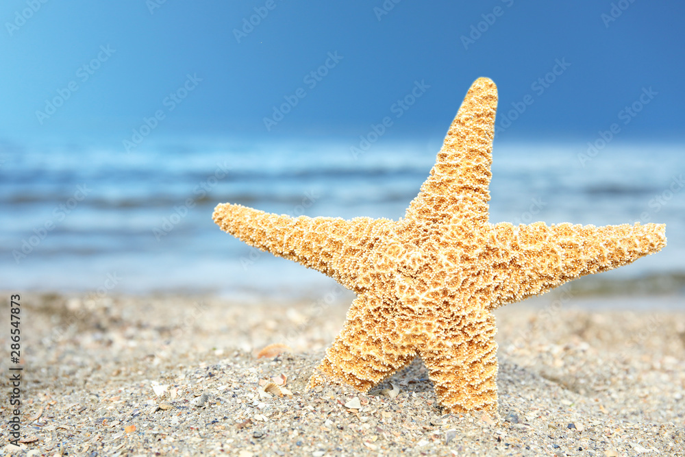 Beautiful starfish on sand near sea. Beach object Beautiful starfish on sand near sea. Beach object