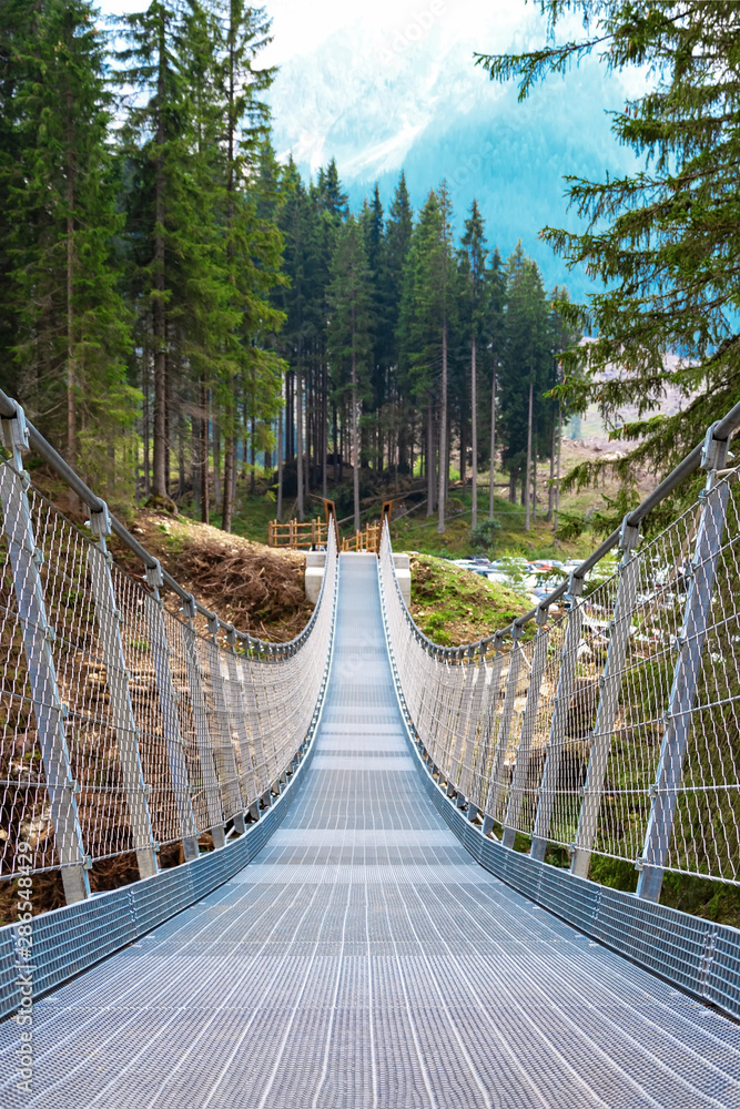 Fototapeta premium Suspension bridge in the forest