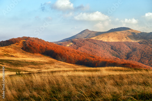 Fototapeta Naklejka Na Ścianę i Meble -  Beautiful mountains landscape during autumn