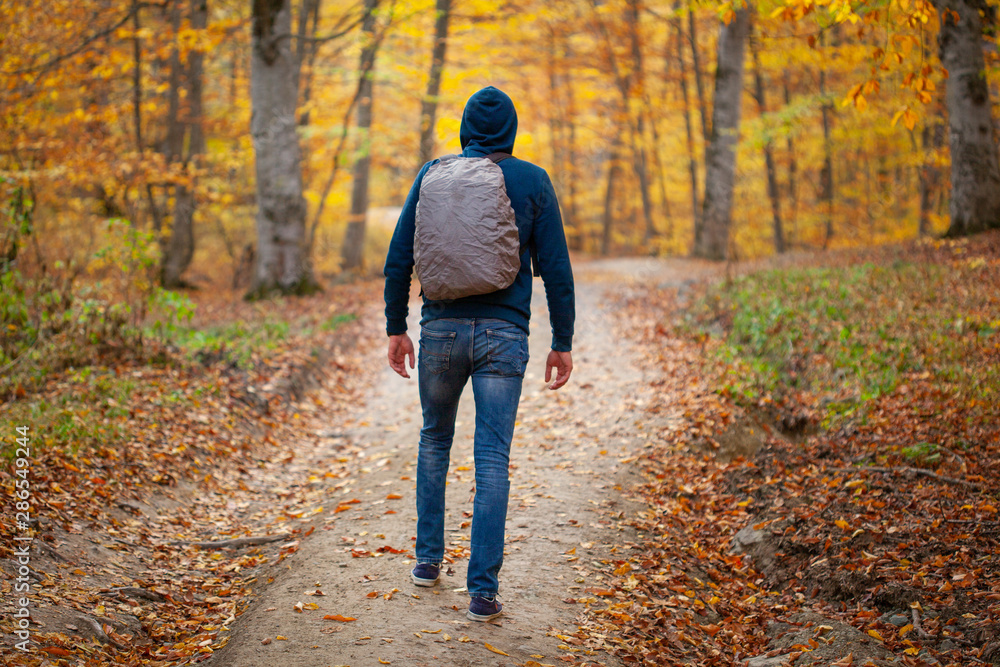 Fototapeta premium traveler man in the forest road