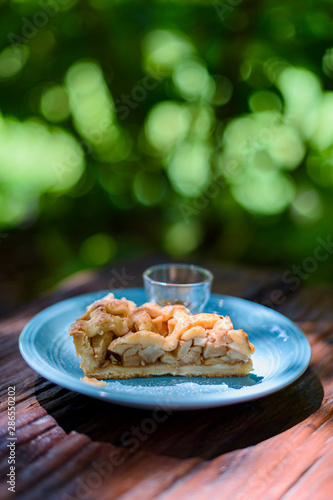 Apple pie on a wooden table in the garden