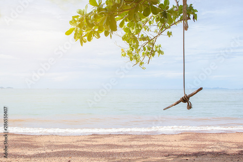 wooden swing on tree with sea beach view