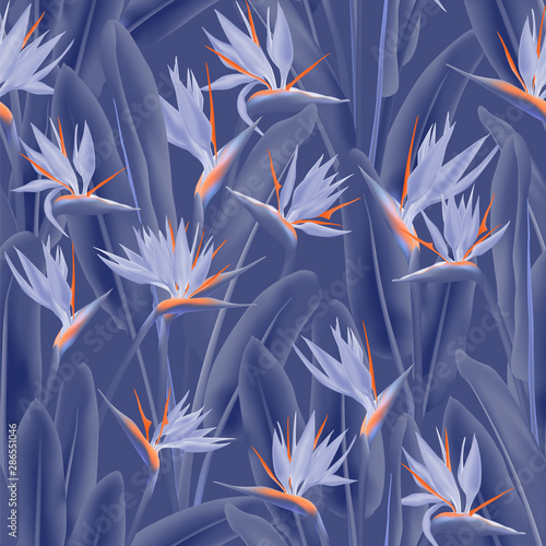 Bird of paradise tropical flower vector seamless pattern. Jungle exotic tropi...