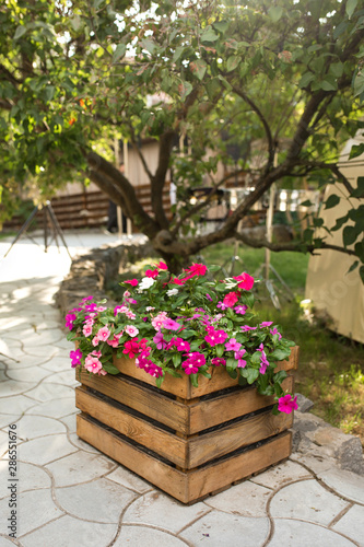 A flower bed with a beautiful pink and red flowers wooden box stands outdoors against the background of a tree and green lawn