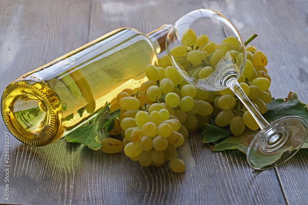 Obraz premium Grapes, white wine and glass