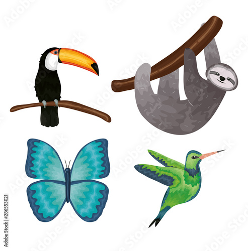 group of exotics and tropical animals
