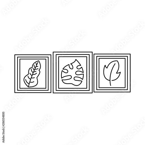 Isolated leaves inside frames vector design