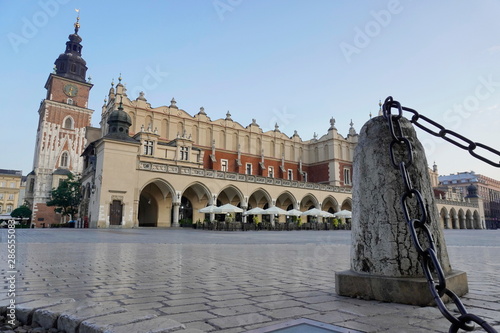 empty market square in Krakow in the early morning. revival of city pigeons walking on the pavement