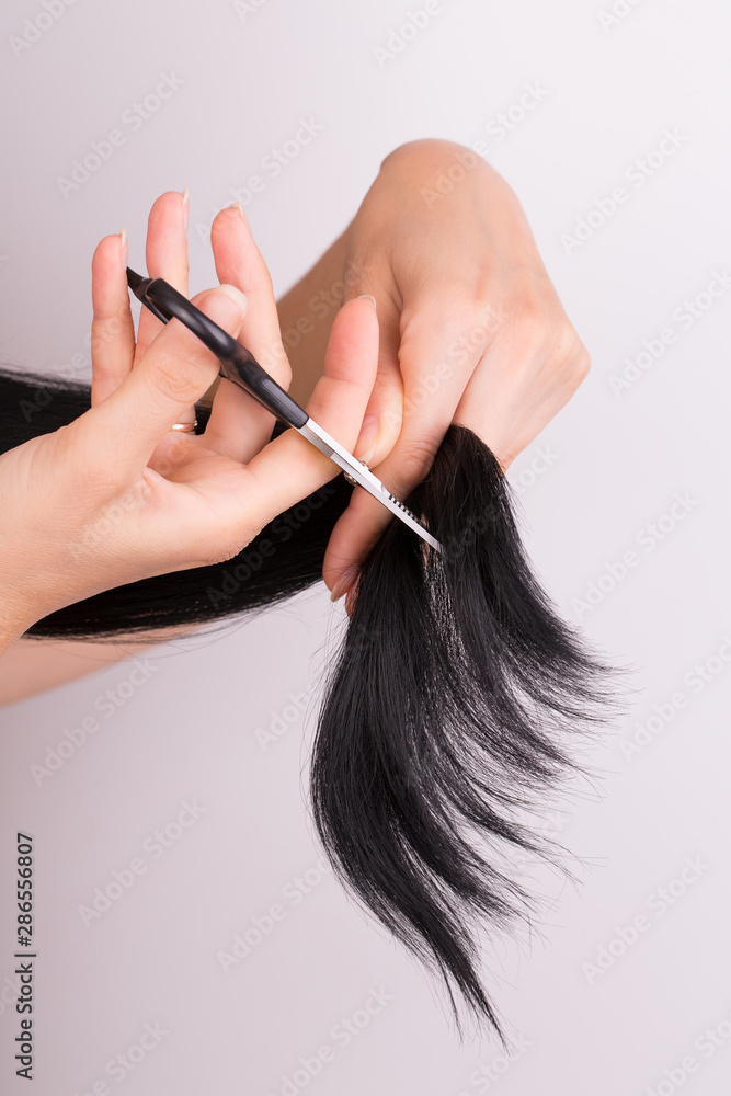 Scissor cut hair. Girl cuts black hair with scissors on a white background. Cut hair curls. Scissor cut hair. Girl cuts black hair with scissors on a white background. Cut hair curls.