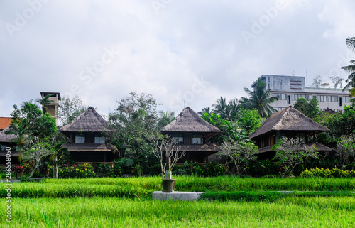 Buildings in the jungle in Bali  traditional Indonesian style