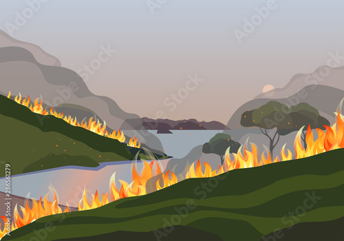 Forest fires disaster mountain trees flat vector illustration