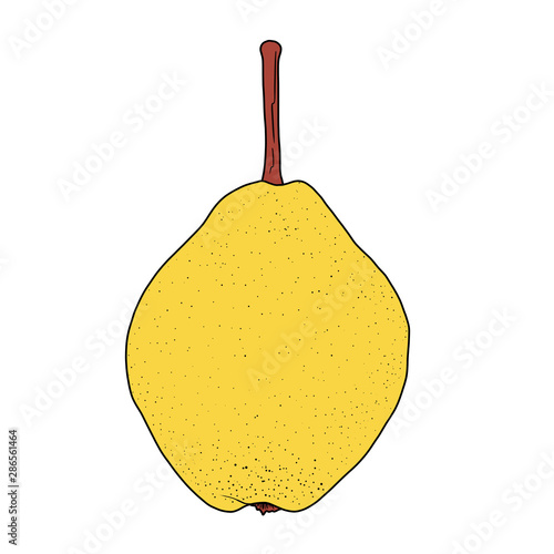 painted yellow pear with black spots - illustration