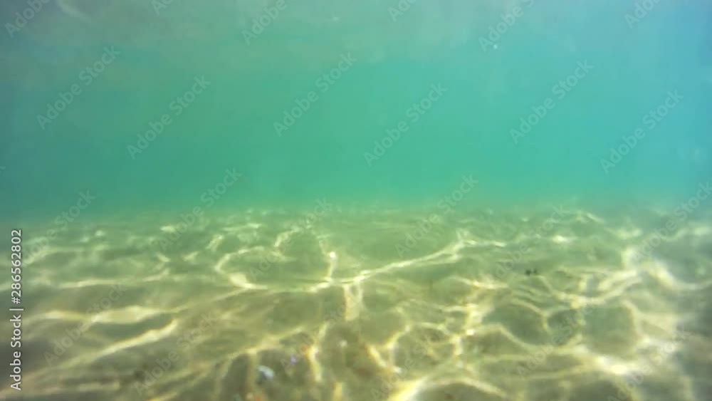 background sand on the beach underwater background sand on the beach underwater