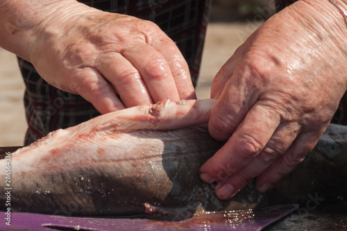 An elderly woman cuts a red sea northern fish. Preparing pink salmon for cooking. authentic local red caviar industry. Wrinkled strained female hands close-up. © MariaTem