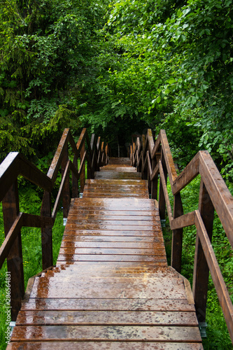 staircase wooden path with railing in the mountain green forest © Alexandr