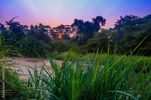 Sunrise view of Ishasha river, with trees growing and the reflections on the water, Queen Elizabeth National Park, Ishasha, Uganda, Africa photo