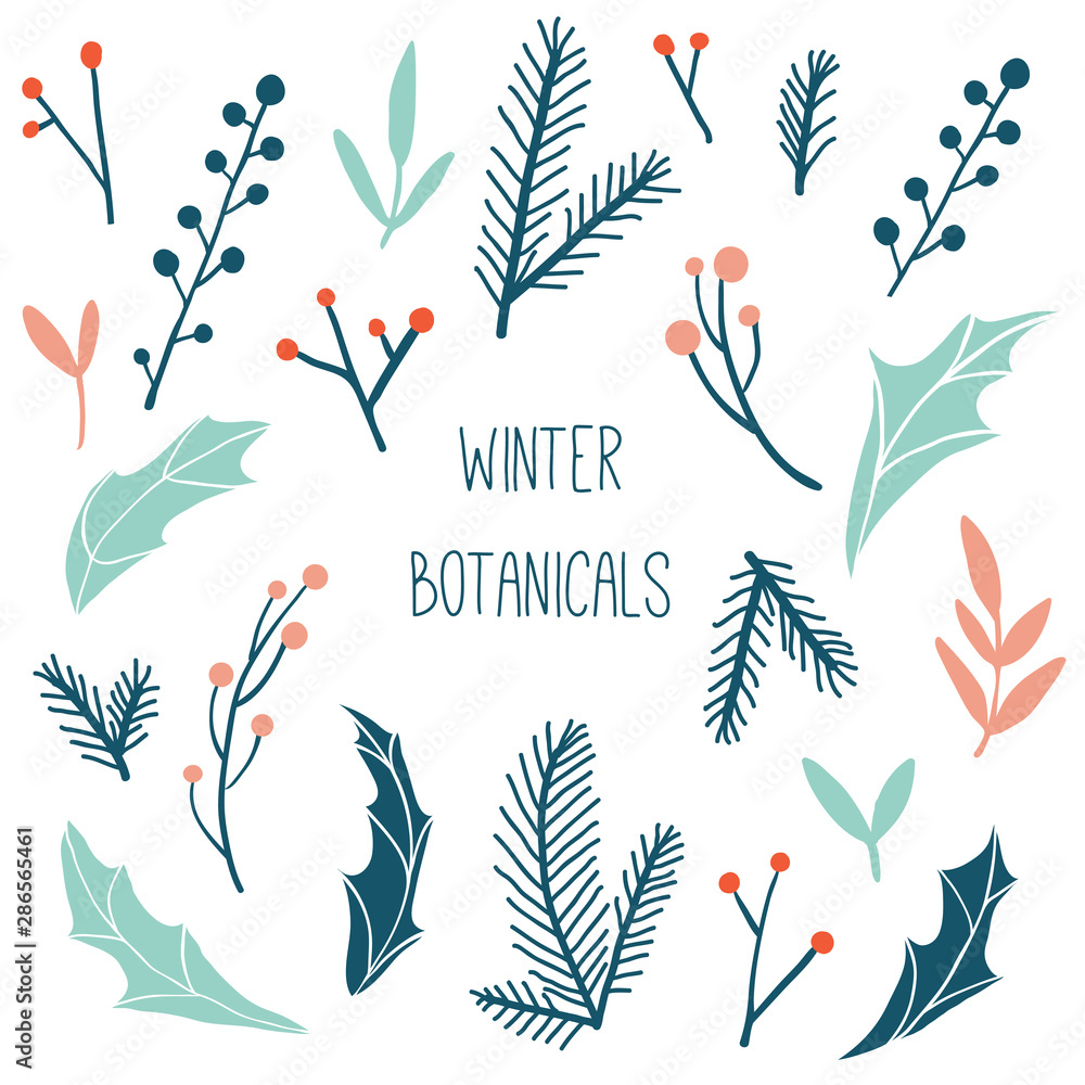 Fototapeta Winter flora: branches, leaves and berries
