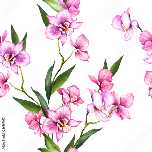 Seamless pattern with orchids. Hand draw watercolor illustration.