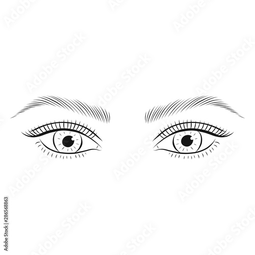 Woman's eyes and eyebrows. photo