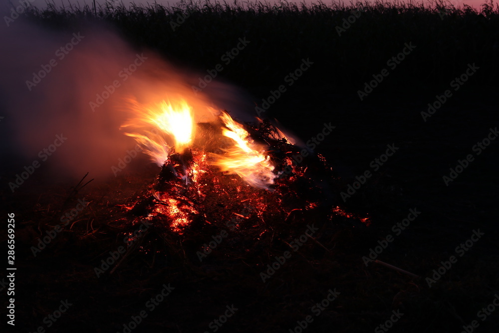 The bonfire burns against the background of the black sky. Dry grass burns.