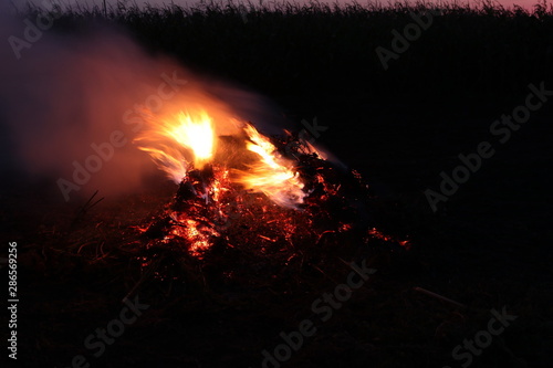 The bonfire burns against the background of the black sky. Dry grass burns.