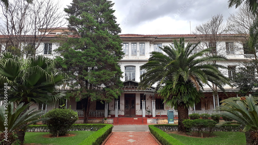 Obraz premium Vicentina Aranha